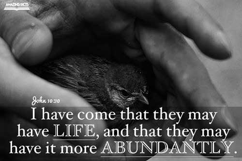 The thief cometh not, but for to steal, and to kill, and to destroy: I am come that they might have life, and that they might have it more abundantly. John 10:10