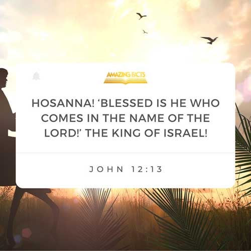 Took branches of palm trees, and went forth to meet him, and cried, Hosanna: Blessed is the King of Israel that cometh in the name of the Lord. John 12:13