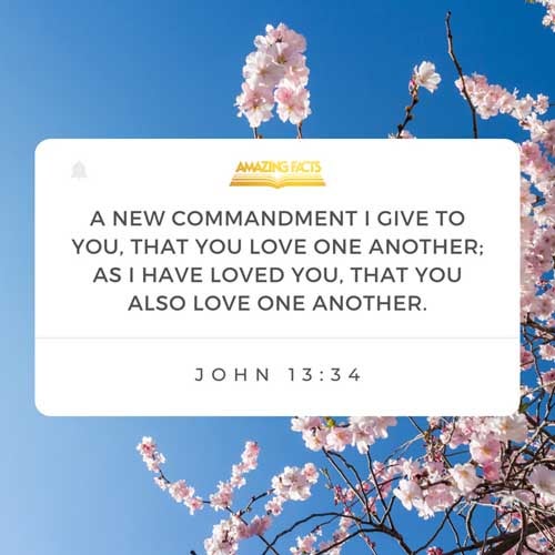 A new commandment I give unto you, That ye love one another; as I have loved you, that ye also love one another. (John 13:34)