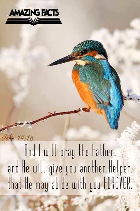 And I will pray the Father, and he shall give you another Comforter, that he may abide with you for ever; (John 14:16)