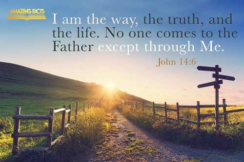Jesus saith unto him, I am the way, the truth, and the life: no man cometh unto the Father, but by me. John 14:6