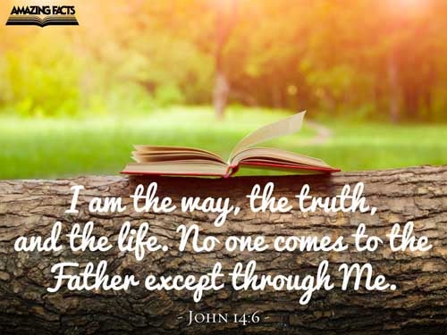 Jesus saith unto him, I am the way, the truth, and the life: no man cometh unto the Father, but by me. John 14:6