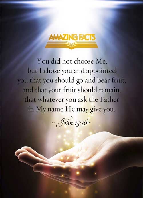 Ye have not chosen me, but I have chosen you, and ordained you, that ye should go and bring forth fruit, and that your fruit should remain: that whatsoever ye shall ask of the Father in my name, he may give it you. John 15:16