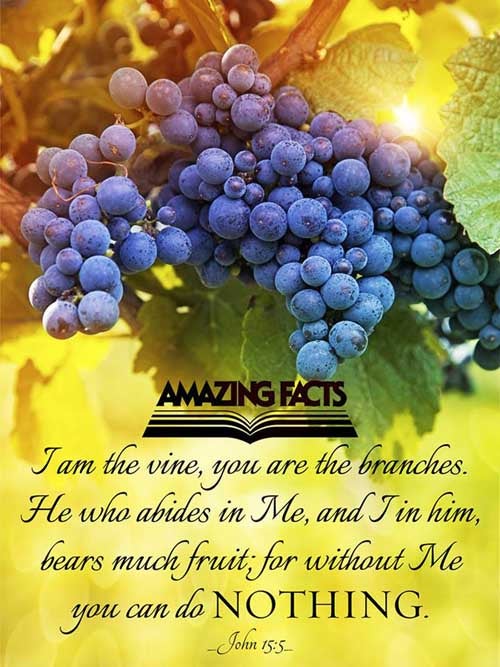 I am the vine, ye are the branches: He that abideth in me, and I in him, the same bringeth forth much fruit: for without me ye can do nothing. John 15:5
