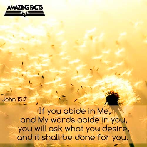 If ye abide in me, and my words abide in you, ye shall ask what ye will, and it shall be done unto you. (John 15:7)