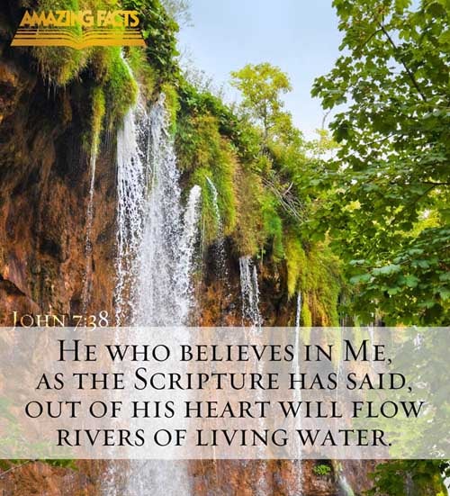 He that believeth on me, as the scripture hath said, out of his belly shall flow rivers of living water. (John 7:38)