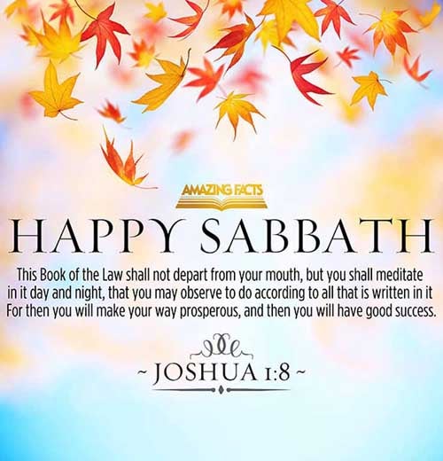 This book of the law shall not depart out of thy mouth; but thou shalt meditate therein day and night, that thou mayest observe to do according to all that is written therein: for then thou shalt make thy way prosperous, and then thou shalt have good success. (Joshua 1:8)