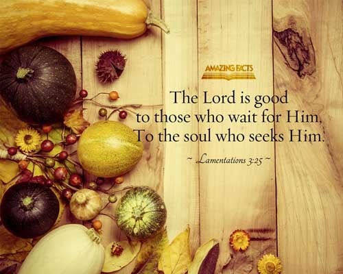 The LORD is good unto them that wait for him, to the soul that seeketh him. Lamentations 3:25