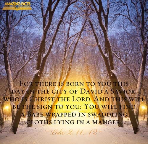 For unto you is born this day in the city of David a Saviour, which is Christ the Lord. And this shall be a sign unto you; Ye shall find the babe wrapped in swaddling clothes, lying in a manger. Luke 2:11-12