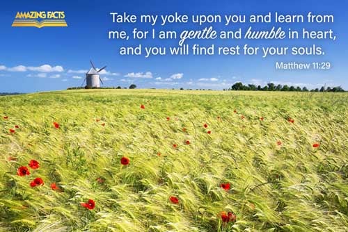 Take my yoke upon you, and learn of me; for I am meek and lowly in heart: and ye shall find rest unto your souls. Matthew 11:29