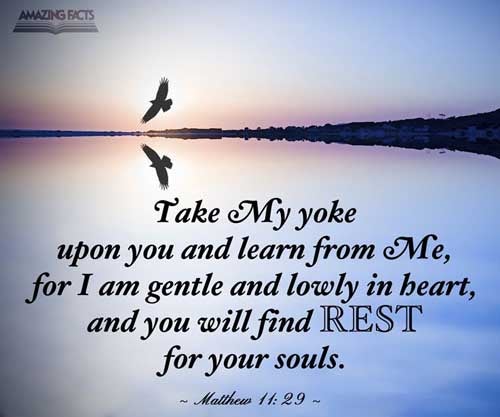 Take my yoke upon you, and learn of me; for I am meek and lowly in heart: and ye shall find rest unto your souls. Matthew 11:29