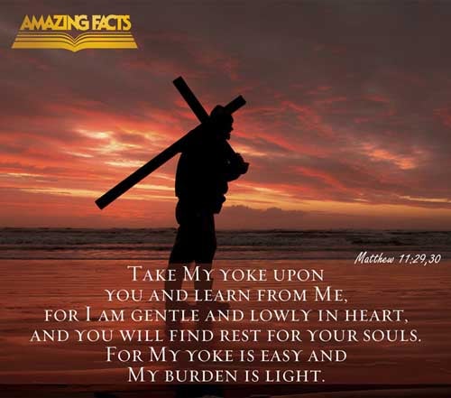 Take my yoke upon you, and learn of me; for I am meek and lowly in heart: and ye shall find rest unto your souls. For my yoke is easy, and my burden is light. Matthew 11:29-30
