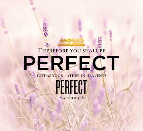Be ye therefore perfect, even as your Father which is in heaven is perfect. (Matthew 5:48)