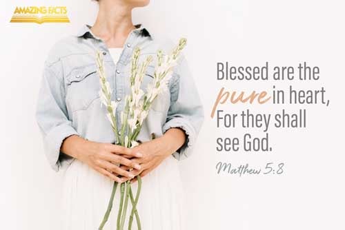 Blessed are the pure in heart: for they shall see God. Matthew 5:8