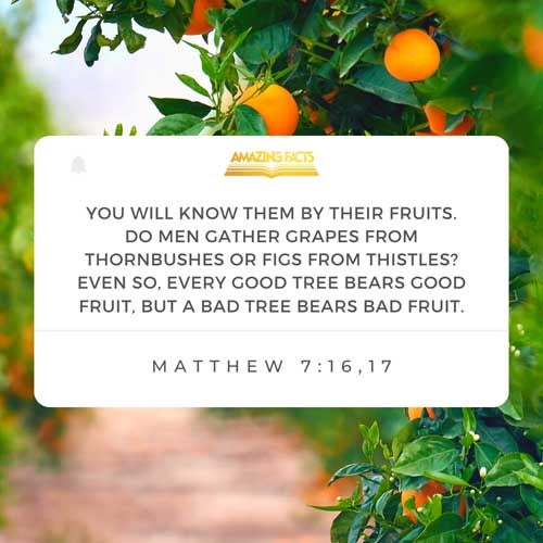 Ye shall know them by their fruits. Do men gather grapes of thorns, or figs of thistles? Even so every good tree bringeth forth good fruit; but a corrupt tree bringeth forth evil fruit. Matthew 7:16-17