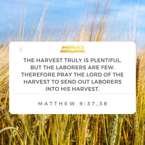 Then saith he unto his disciples, The harvest truly is plenteous, but the labourers are few; Pray ye therefore the Lord of the harvest, that he will send forth labourers into his harvest. Matthew 9:37-38