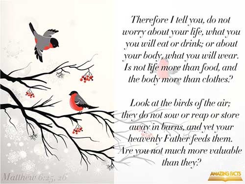 Therefore I say unto you, Take no thought for your life, what ye shall eat, or what ye shall drink; nor yet for your body, what ye shall put on. Is not the life more than meat, and the body than raiment? Behold the fowls of the air: for they sow not, neither do they reap, nor gather into barns; yet your heavenly Father feedeth them. Are ye not much better than they? (Matthew 6:25-26)