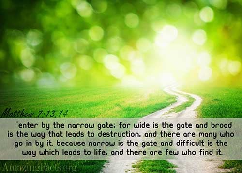 Enter ye in at the strait gate: for wide is the gate, and broad is the way, that leadeth to destruction, and many there be which go in thereat: Because strait is the gate, and narrow is the way, which leadeth unto life, and few there be that find it. (Matthew 7:13-14)