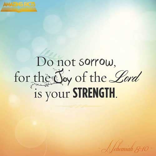 Then he said unto them, Go your way, eat the fat, and drink the sweet, and send portions unto them for whom nothing is prepared: for this day is holy unto our Lord: neither be ye sorry; for the joy of the LORD is your strength. (Nehemiah 8:10)