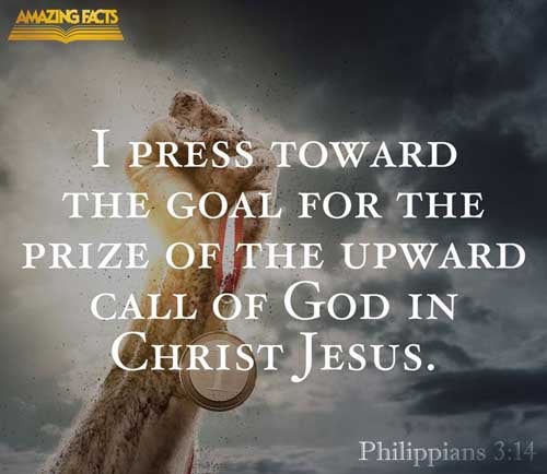 I press toward the mark for the prize of the high calling of God in Christ Jesus. Philippians 3:14
