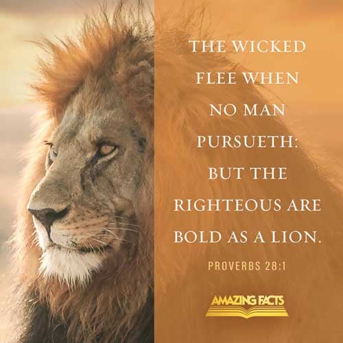 The wicked flee when no man pursueth: but the righteous are bold as a lion. Proverbs 28:1