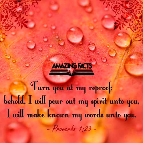 Turn you at my reproof: behold, I will pour out my spirit unto you, I will make known my words unto you. (Proverbs 1:23)