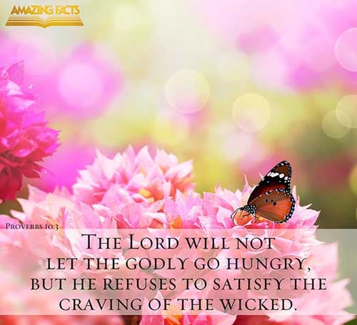 The LORD will not suffer the soul of the righteous to famish: but he casteth away the substance of the wicked. (Proverbs 10:3)
