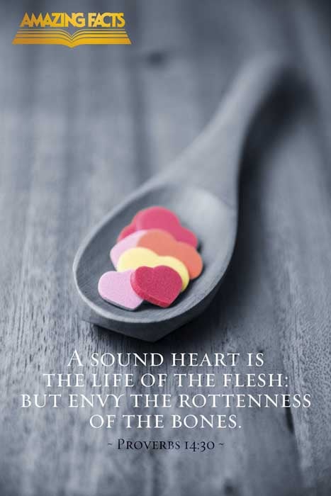 A sound heart is the life of the flesh: but envy the rottenness of the bones. (Proverbs 14:30)