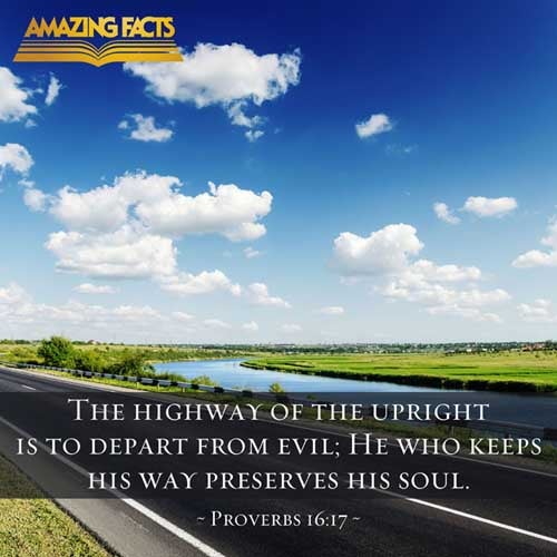 The highway of the upright is to depart from evil: he that keepeth his way preserveth his soul. (Proverbs 16:17)