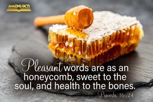 Pleasant words are as an honeycomb, sweet to the soul, and health to the bones. Proverbs 16:24