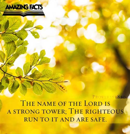 The name of the LORD is a strong tower: the righteous runneth into it, and is safe. Proverbs 18:10