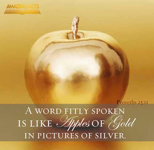 A word fitly spoken is like apples of gold in pictures of silver. (Proverbs 25:11)