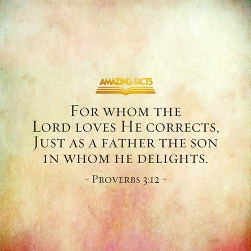 For whom the LORD loveth he correcteth; even as a father the son in whom he delighteth. (Proverbs 3:12)