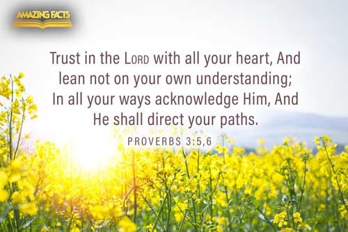 Trust in the LORD with all thine heart; and lean not unto thine own understanding. In all thy ways acknowledge him, and he shall direct thy paths. Proverbs 3:5-6