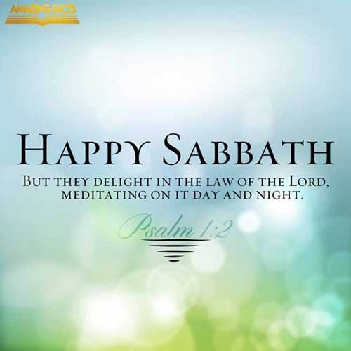 But his delight is in the law of the LORD; and in his law doth he meditate day and night. (Psalms 1:2)