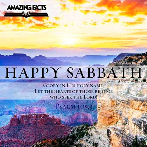 Glory ye in his holy name: let the heart of them rejoice that seek the LORD. (Psalms 105:3)