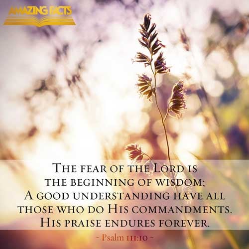 The fear of the LORD is the beginning of wisdom: a good understanding have all they that do his commandments: his praise endureth for ever. (Psalms 111:10)