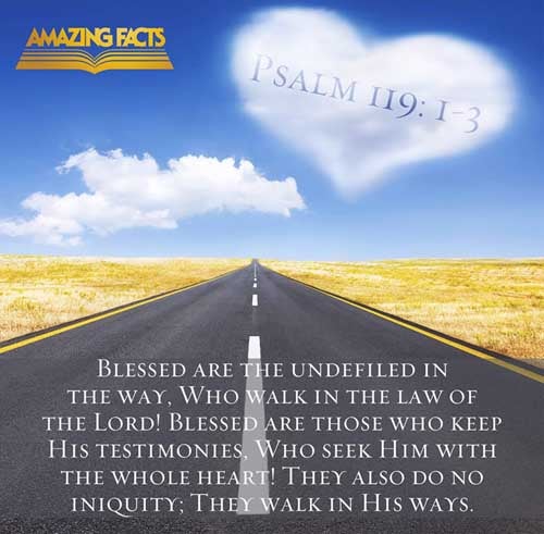 Blessed are the undefiled in the way, who walk in the law of the LORD. Blessed are they that keep his testimonies, and that seek him with the whole heart. They also do no iniquity: they walk in his ways. Psalms 119:1-3