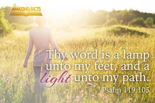 Thy word is a lamp unto my feet, and a light unto my path. Psalms 119:105