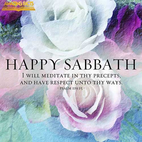 I will meditate in thy precepts, and have respect unto thy ways. (Psalms 119:15)