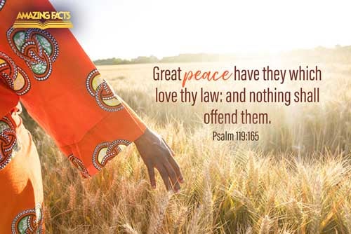 Great peace have they which love thy law: and nothing shall offend them. Psalms 119:165