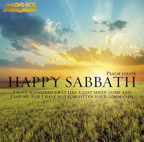 I have gone astray like a lost sheep; seek thy servant; for I do not forget thy commandments. (Psalms 119:176)