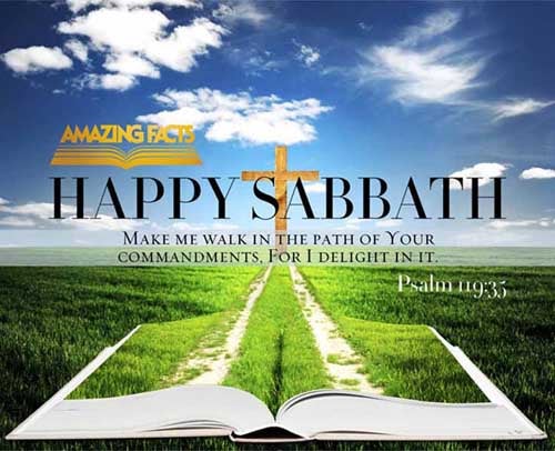 Make me to go in the path of thy commandments; for therein do I delight. (Psalms 119:35)