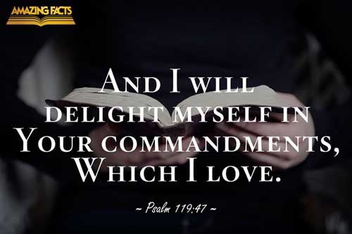And I will delight myself in thy commandments, which I have loved. Psalms 119:47