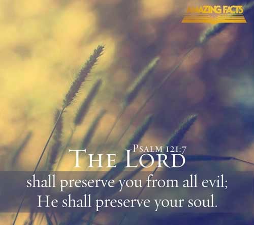 The LORD shall preserve thee from all evil: he shall preserve thy soul. (Psalms 121:7)