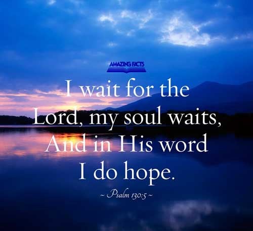 I wait for the LORD, my soul doth wait, and in his word do I hope. Psalms 130:5