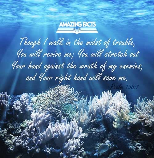 Though I walk in the midst of trouble, thou wilt revive me: thou shalt stretch forth thine hand against the wrath of mine enemies, and thy right hand shall save me. Psalms 138:7