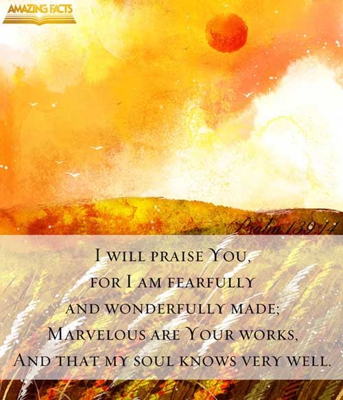 I will praise thee; for I am fearfully and wonderfully made: marvellous are thy works; and that my soul knoweth right well. (Psalms 139:14)