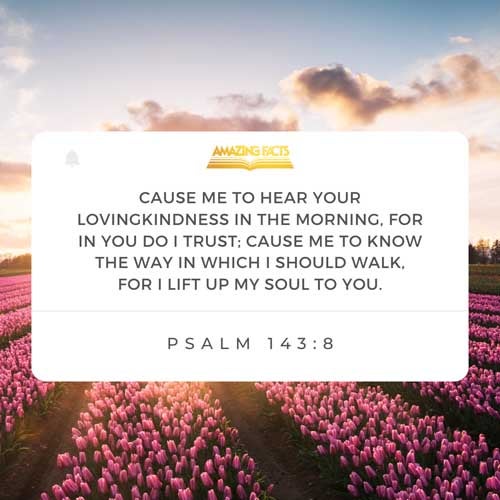 Cause me to hear thy lovingkindness in the morning; for in thee do I trust: cause me to know the way wherein I should walk; for I lift up my soul unto thee. Psalms 143:8