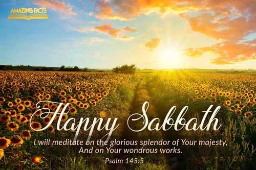 I will speak of the glorious honour of thy majesty, and of thy wondrous works. Psalms 145:5